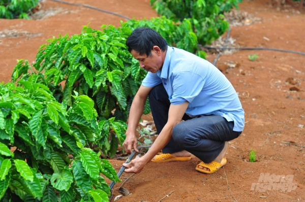 Các địa phương đề nghị kéo dài dự án VnSAT