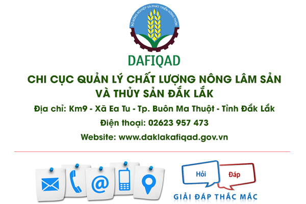hỏi đáp