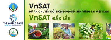 VnSat Đắk Lắk